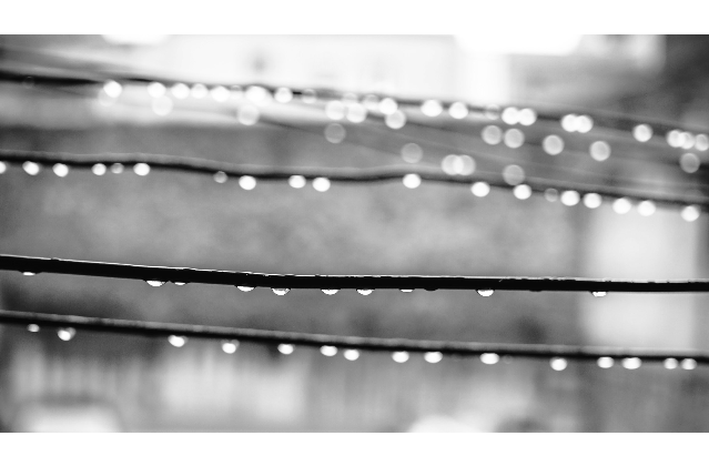 Rope drops - jose