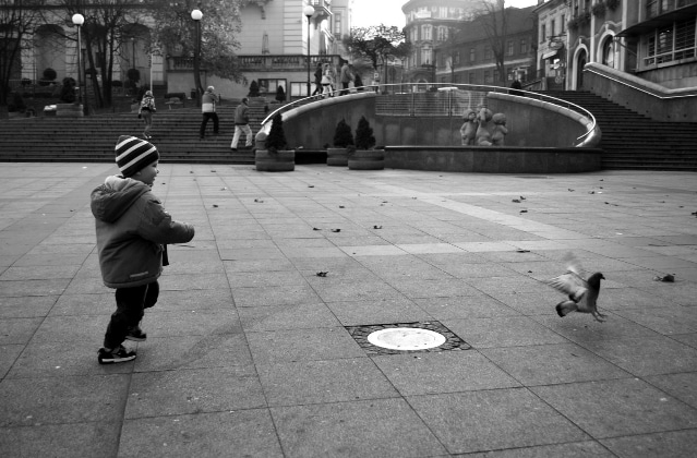 Bird hunt - Szymon