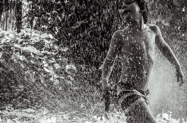 The hose - jose